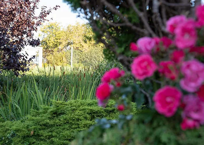 Osrodek Wczasowy Dankar Dziwnów